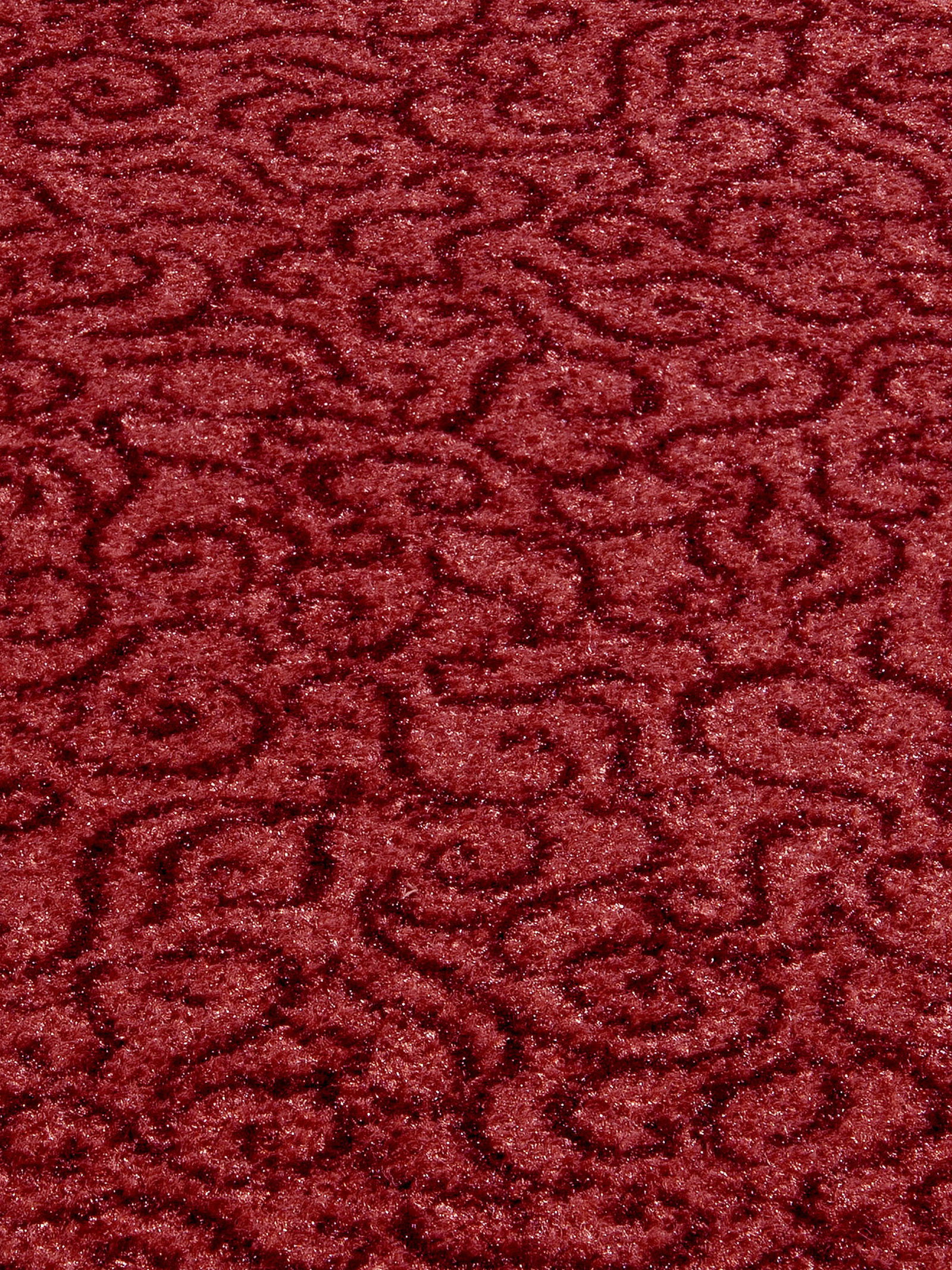 Rot