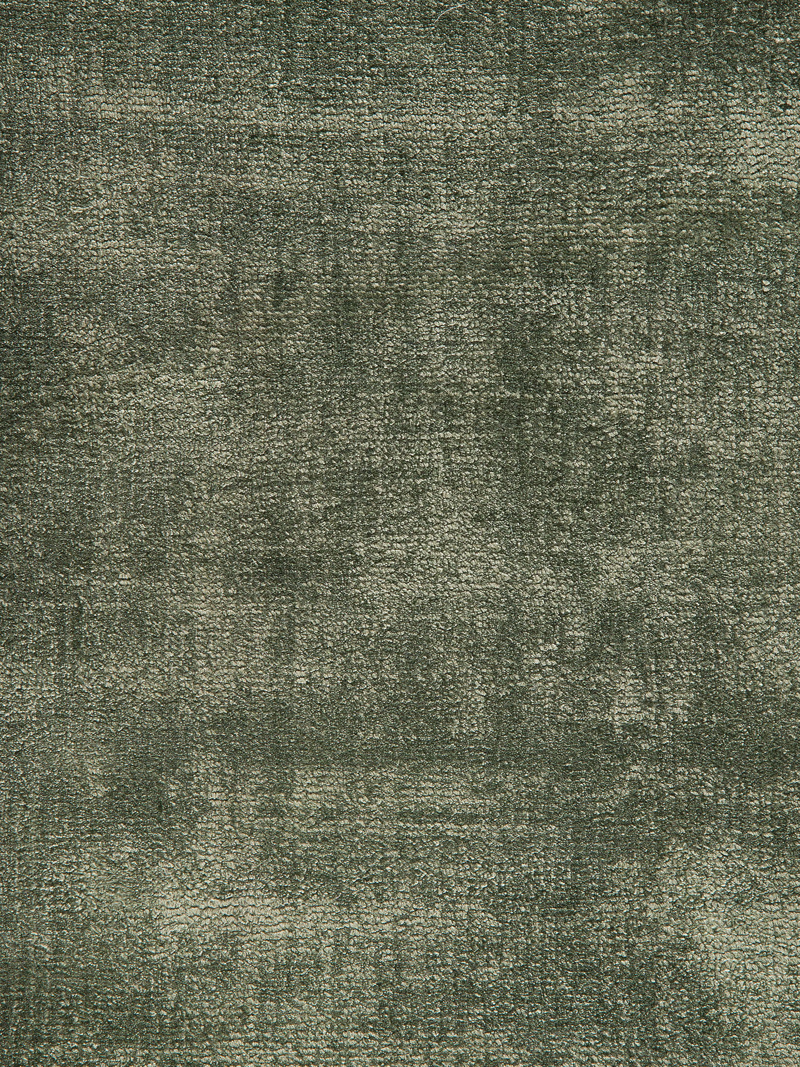 Eukalyptus