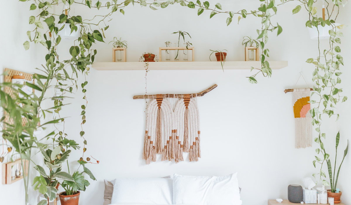 Hängende Pflanzen rahmen Wandkunst und Pflanzenregal über Kopfkissen in schlichtem Schlafzimmer.