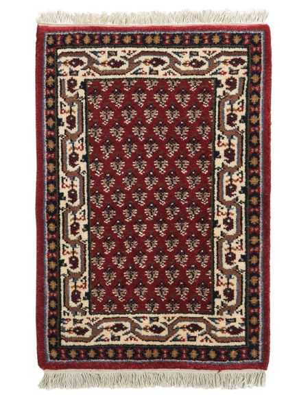 Teppich zeigt florale Muster und mehrere verzierte Ränder, liegt auf weißem Hintergrund.