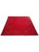 Roter Teppich liegt flach mit kleinem gelb-schwarzem Tier- und Pflanzenmuster am Rand.
