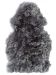 Stone Grey