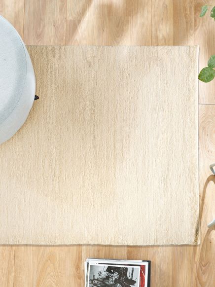 Beiger Teppich liegt auf Holzfußboden, umgeben von Möbeln und einer Pflanze.
