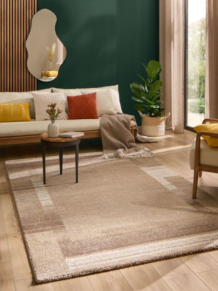 Beiger Teppich liegt auf Holzboden, Sofa mit bunten Kissen und Decke, Pflanze im hellen Raum.