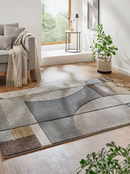 Teppich liegt auf Holzboden, links graues Sofa mit Decke, rechts Topfpflanze, großer Fensterbereich.