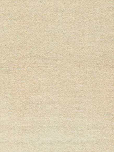 Persischer Loribaff