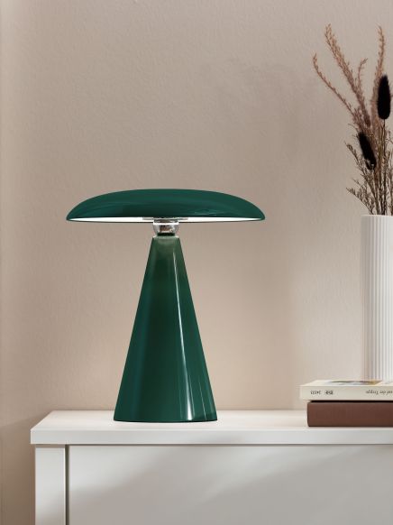Grüne Tischlampe steht auf weißem Schrank neben zwei Büchern und Vase mit getrockneten Pflanzen.