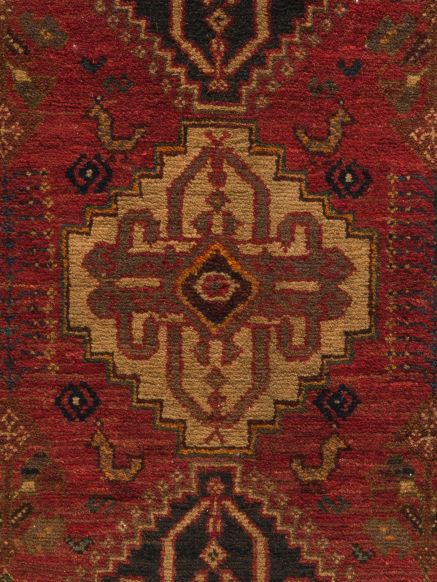 Shiraz