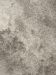 Arcus
