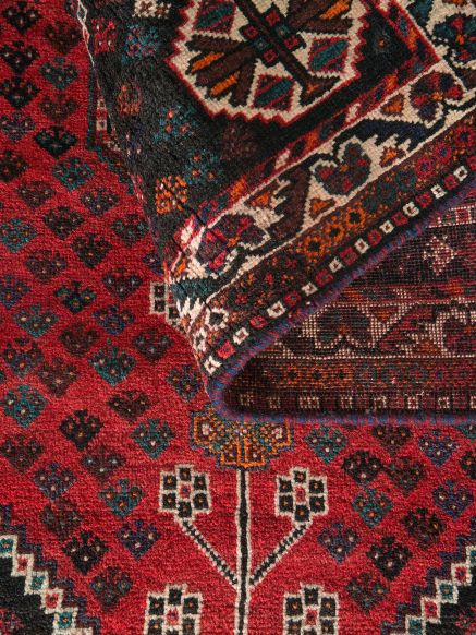 Shiraz