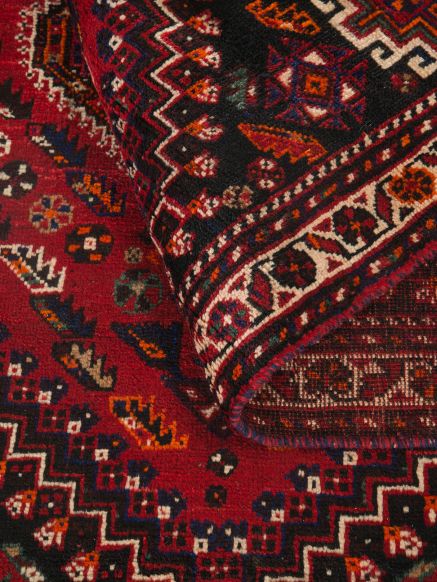 Shiraz