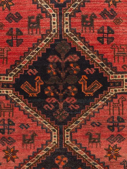 Shiraz