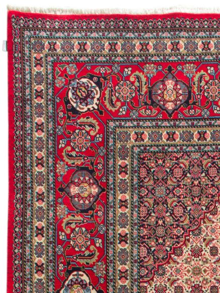 Sarough Mashayekhi