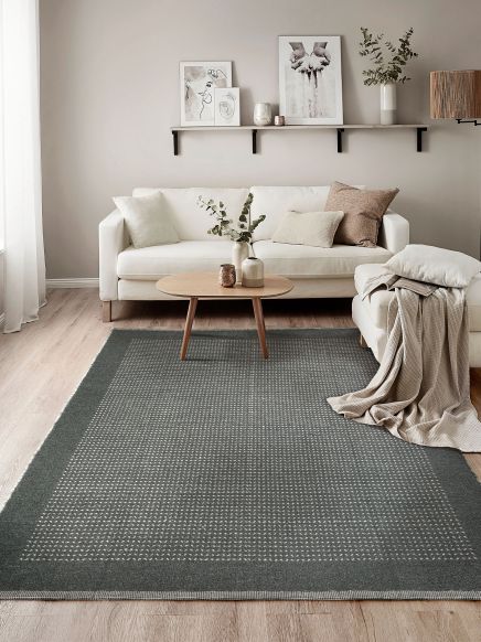 Wohnzimmertisch steht vor Sofa mit Kissen, Teppich liegt auf Holzboden, Wand mit Regalen.