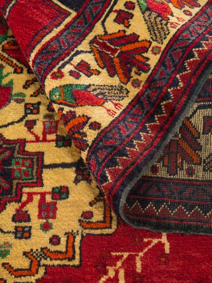 Belutsch