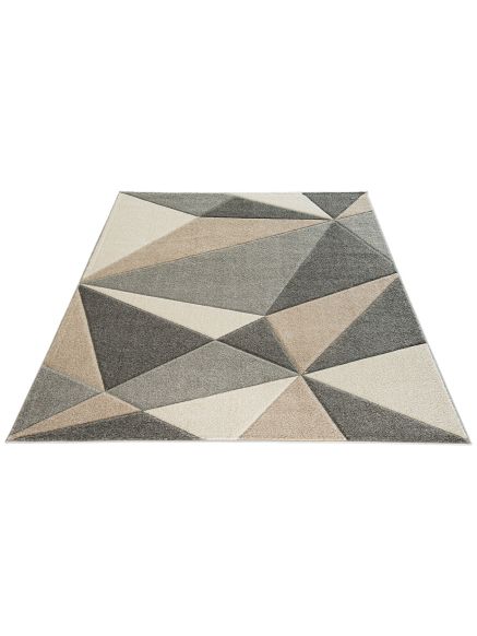 Triogona